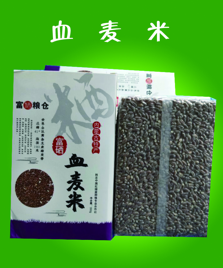血麦米3.jpg